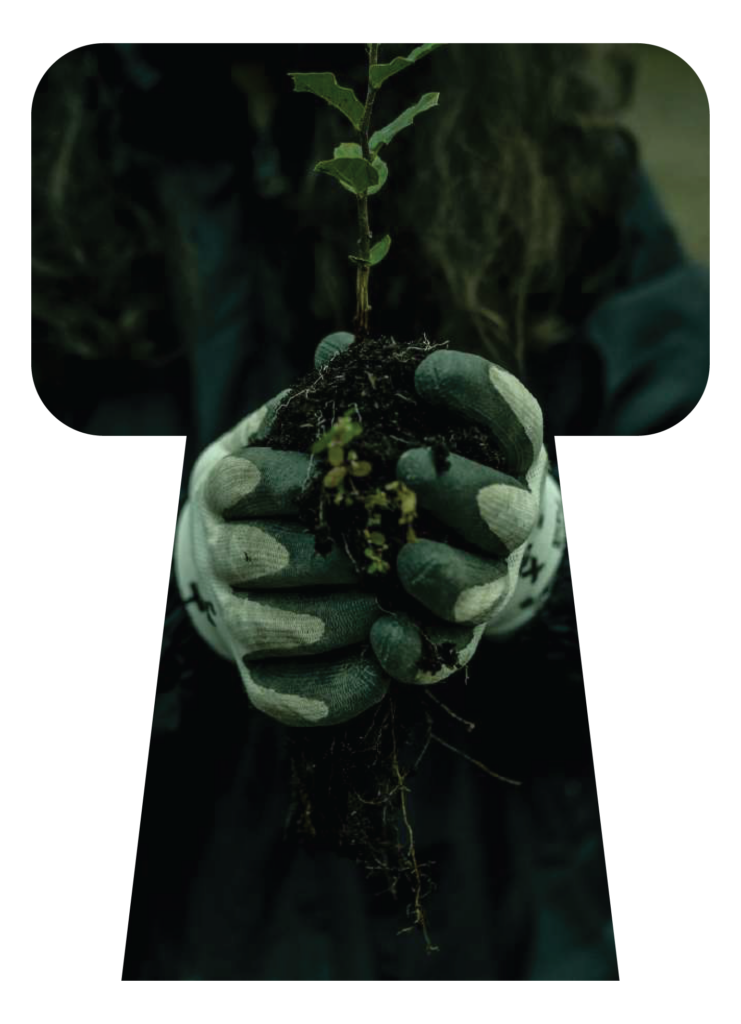 Mãos com luvas a segurar uma pequena planta com raízes e terra, numa imagem recortada